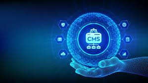 CMS-Website-Entwicklung